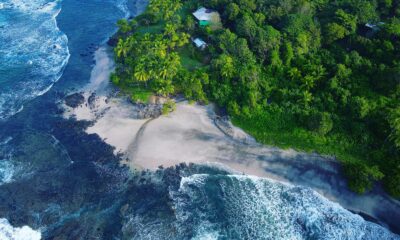 A Tropical Paradise Awaits: Discovering Nature's Bounty