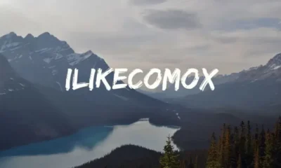 Ilikecomox: Enhancing Online Presence and Productivity for Businesses