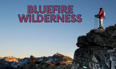 Bluefire Wilderness Lawsuit Abuse Therapy: A Comprehensive Guide