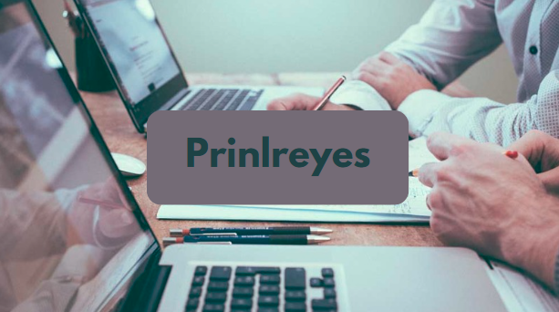 Prinlreyes-Explore the Revolutionizing Productivity