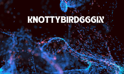 The Intriguing World of Knottybird666ix: A Comprehensive Guide