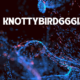 The Intriguing World of Knottybird666ix: A Comprehensive Guide