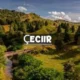 çeciir: A Guide to Making the Most of Your Time