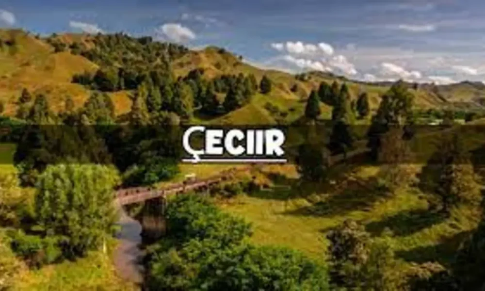 çeciir: A Guide to Making the Most of Your Time