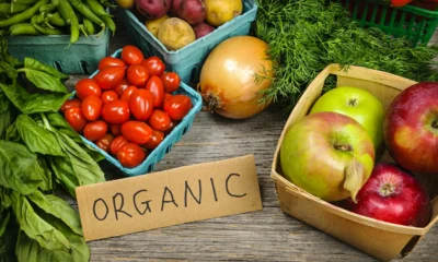 Organic: The Future of Healthy Living