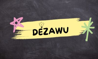 The Comprehensive Guide to Understanding Dezawu: A Deep Dive