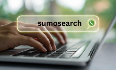 Unleashing the SumoSearch: A Comprehensive Overview