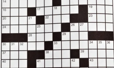 Why Should You Use the ‘hellseed Crossword’ in Spanish?