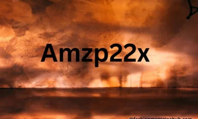 Who Can Benefit from AMZP22X?