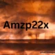 Who Can Benefit from AMZP22X?