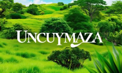 Uncuymaza Around the World: Variations and Adaptations