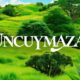 Uncuymaza Around the World: Variations and Adaptations